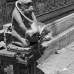 monkey_macaque_balinese_mf_ubud_v_1034_bal4750.jpg